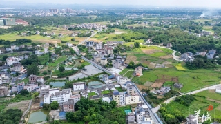 大美嶺南-河源埔前鎮陂角村-守好一抹綠