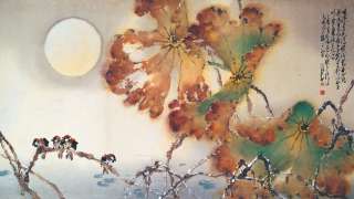 看展覽-趙少昂誕辰120周年紀念展-120幅嶺南畫派大師珍品免費欣賞