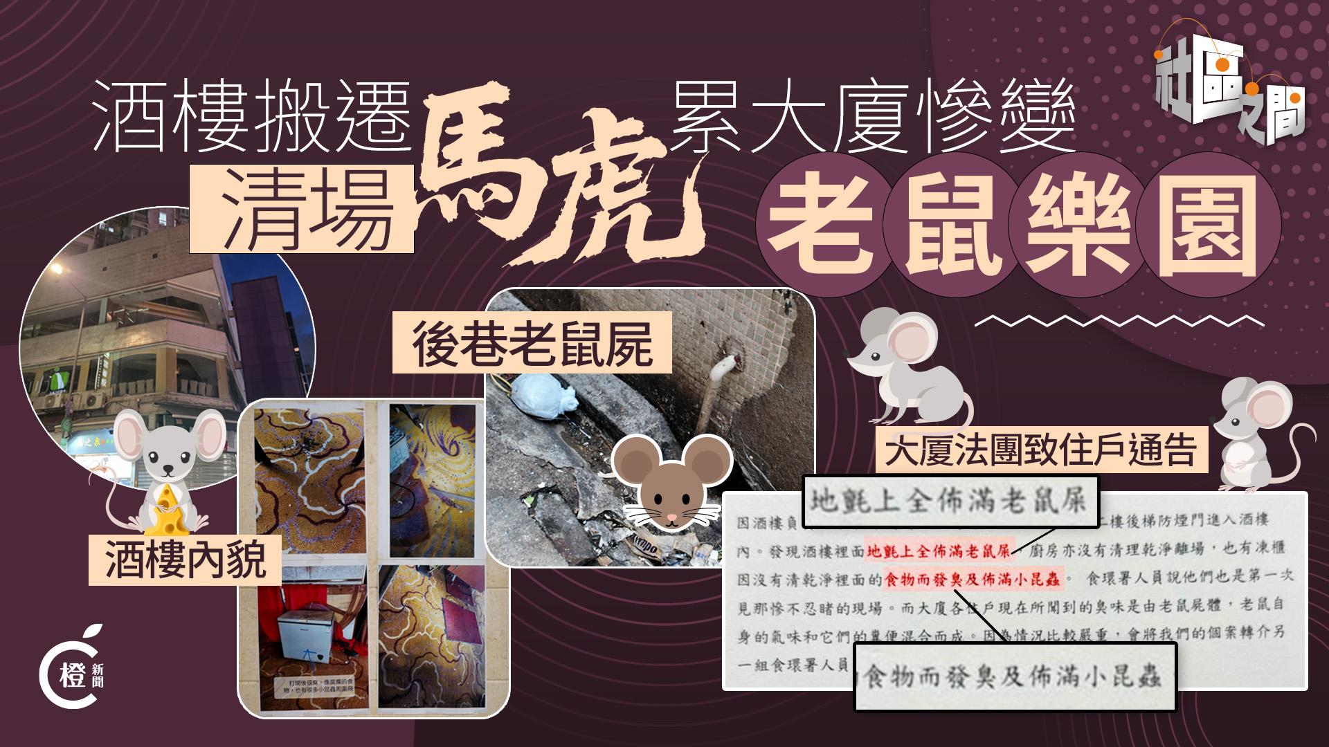 專題 | 酒樓搬遷遺爛攤子　累大廈爆鼠患濔漫惡臭