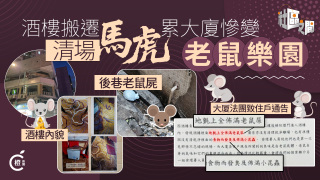 專題---酒樓搬遷遺爛攤子-累大廈爆鼠患濔漫惡臭