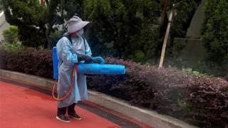 基孔肯雅熱-新增一宗輸入個案-70歲男患者情況穩定