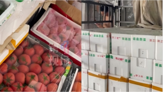 颱風樺加沙-深圳農產品供應充足價穩-海吉星市場蔬菜進貨近6000噸