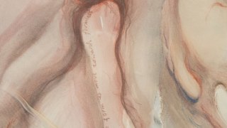 觀皮-反思自我與世界界限-李清美個展-我的目光清澈如你的呼吸-免費入場
