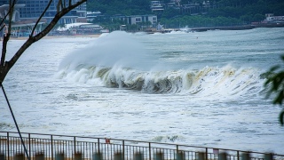 颱風樺加沙-自然資源部啟動海洋災害一級響應-派多地專家支持防範應對