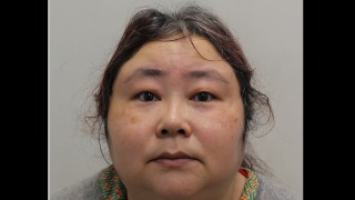 中國女商人涉全球最大宗比特幣騙案--於英國法院認罪等候宣判