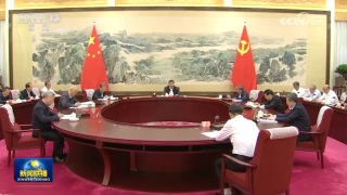 習近平-系統推進宗教中國化-積極引導宗教與社會主義社會相適應