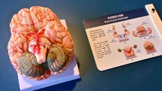香港科學館舉辦-法國科學節--從簡至繁探索無窮生命
