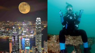 潛看地球三分二-為什麼香港中秋前後的海水特別清