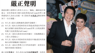 向華強發公開聲明澄清被追債傳言-向太陳嵐今午開記招見傳媒