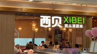 西貝成立預製菜相關公司-經營範圍含預包裝食品銷售