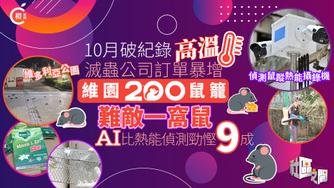專題-高溫天氣滅蟲公司訂單暴增-200鼠籠不敵一窩鼠-AI監測或取代熱能偵測
