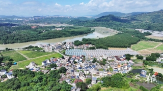 大美嶺南-韶關市湞江區灣頭村-青石新生-風物長卷