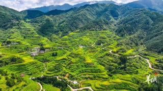大美嶺南-清遠連南大坪鎮-稻此一遊-魚味深長