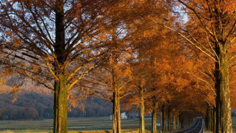 靈氣碧仁-11月的因果成績表