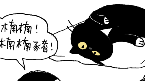 文地貓幸福哲學-一百個名