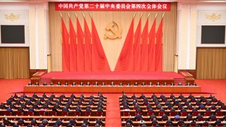 周文港-貫徹落實四中全會精神-為國為港拓增長