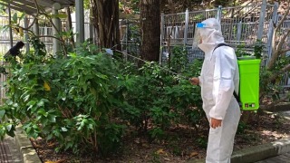 基孔肯雅熱-鳳德邨現首宗本地個案-房屋署-全力配合跟進工作