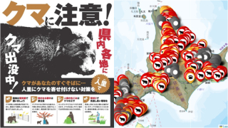 日本近期多地已有78人因熊襲擊傷亡-中使館提醒遊客警惕-熊出沒