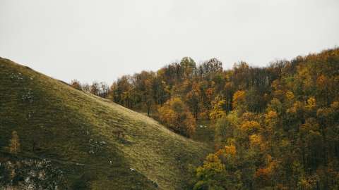 陸小淑專欄-重陽歸鄉