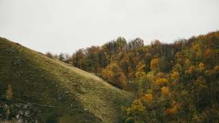 陸小淑專欄-重陽歸鄉