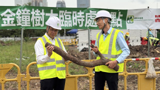 環保署篩選樺加沙襲港塌樹-獲410公噸物料可回收再造