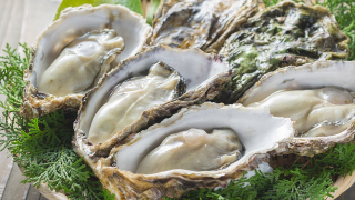 薦書---吃蠔的最佳季節已經到來--讀食手記-教你明食秋蠔