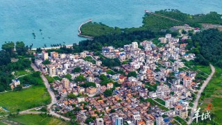 大美嶺南-湛江特呈島-風過八音-紅樹寫詩