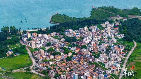 大美嶺南-湛江特呈島-風過八音-紅樹寫詩