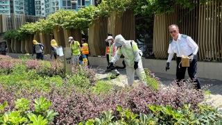 上月第8批誘蚊器指數均低於10--食環署-蚊患情況有改善