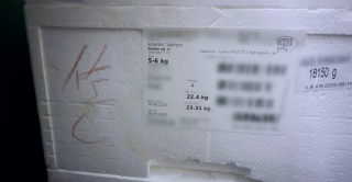 熱話--東張-跟進報道風向掉頭還壽司郎清白-網民-撐壽司郎能-企硬告佢