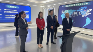 張曼莉杭州出席世界互聯網大會烏鎮峰會-全方位推動人工智能技術應用發展