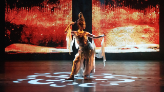 第二屆-盛舞之夜-集結內地頂尖舞者-一連三日呈獻多部經典作品及選段