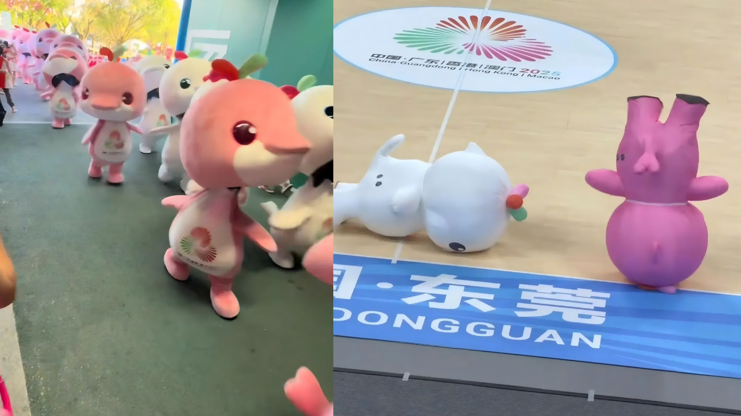 有片·全運會｜活力「大灣雞」花式鬥舞萌到爆！「內膽」竟是13至16歲武校生