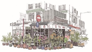 文化漫談-香港節慶時分的花之都-在旺角花墟探訪市井記憶