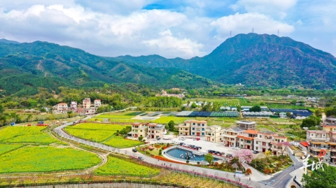 大美嶺南-江門鶴山市城西村-水繞桃源-山歌有信