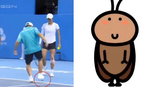 有片-全運會-一隻蟑螂闖入網球賽場遭踩殺清理-網民--廣東雙馬尾-也想看比賽