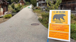 熊出沒注意-日本環境省-今年4至10月共196人遭熊襲擊-創五年同期新高