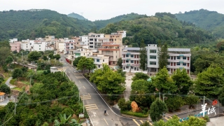 大美嶺南-雲浮鬱南縣新塘村-澗繞新村肉桂香