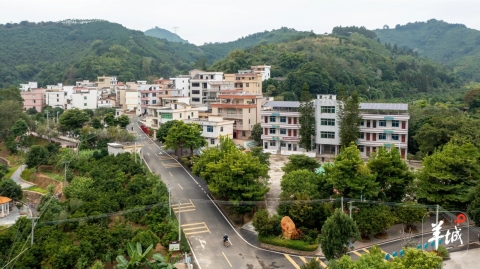 大美嶺南-雲浮鬱南縣新塘村-澗繞新村肉桂香
