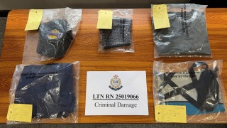 立法會選舉-愉景灣宣傳海報4日內兩度遭破壞-警方拘捕66歲外籍男子