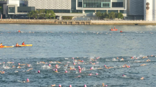 維港泳今早舉行--女飛魚-何詩蓓首戰渡海泳