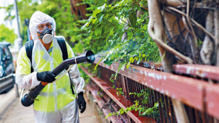 基孔肯雅熱-新增兩宗輸入個案-患者分別居於元朗及葵青