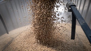 美國農業部長-相信中國將履行大豆採購承諾-兩周內簽署協議