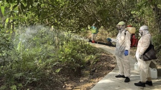 基孔肯雅熱-防護中心-近日5宗輸入個案患者均住青衣-青衣自然徑風險較高