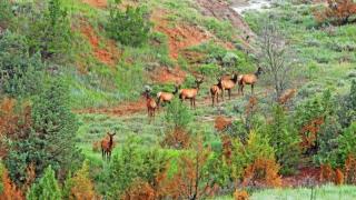 美內政部推國家公園新定價-明年起外國遊客年票漲至250美元