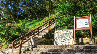 基孔肯雅熱-新增一宗本地個案-食環署職員青衣自然徑滅蚊染疫