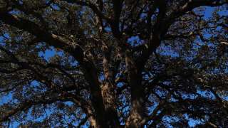 教育驚奇-香港邊境生態史地歷奇-文旅融合實踐-中