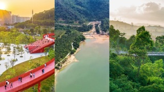 當代中國-灣區自由行自然篇