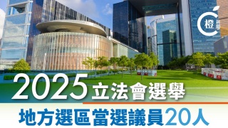 一圖睇清---地區直選20位當選議員名單一覽