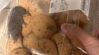 深圳山姆極速達麻薯盒驚現活老鼠--消費者曬圖曝光-食物疑有啃咬痕跡
